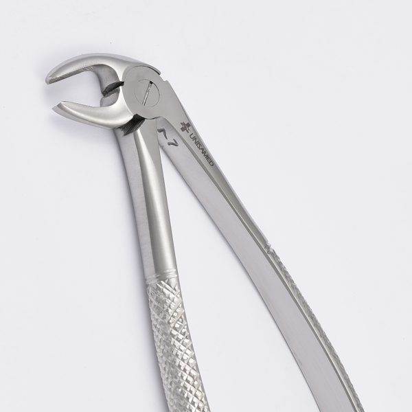 Extraction Forcep - Image 3
